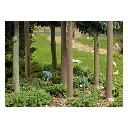 Scénette "Cueillette du Bleuet sauvage en famille" BUSCH 7956 HO - 2