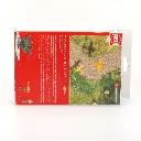 Un père et son fils pilotant un avion radiocommandé - BUSCH 5487 - HO 1/87 - 4