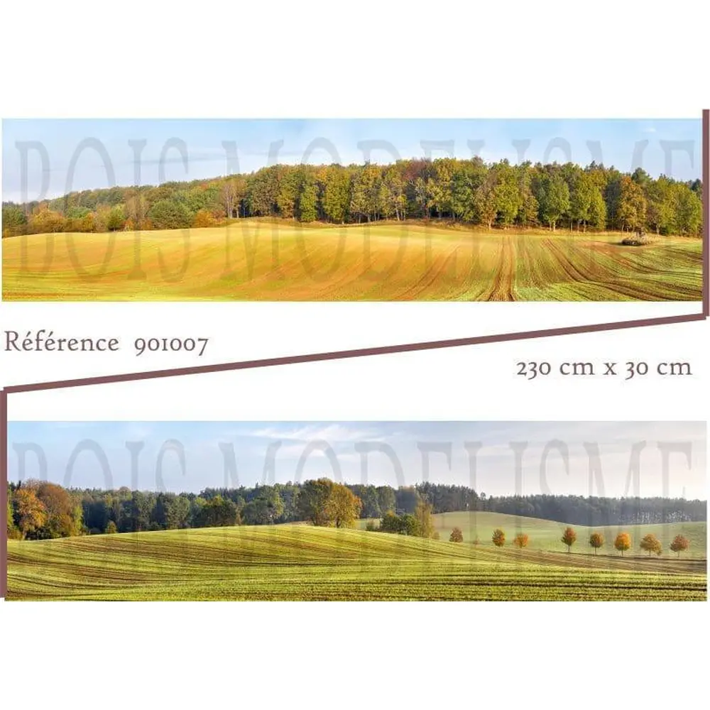 Fond de décor : forêt en automne - 2