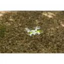 X4 Quadcopter 210 2.4G 100% RTF - Carson 500507176 - 7