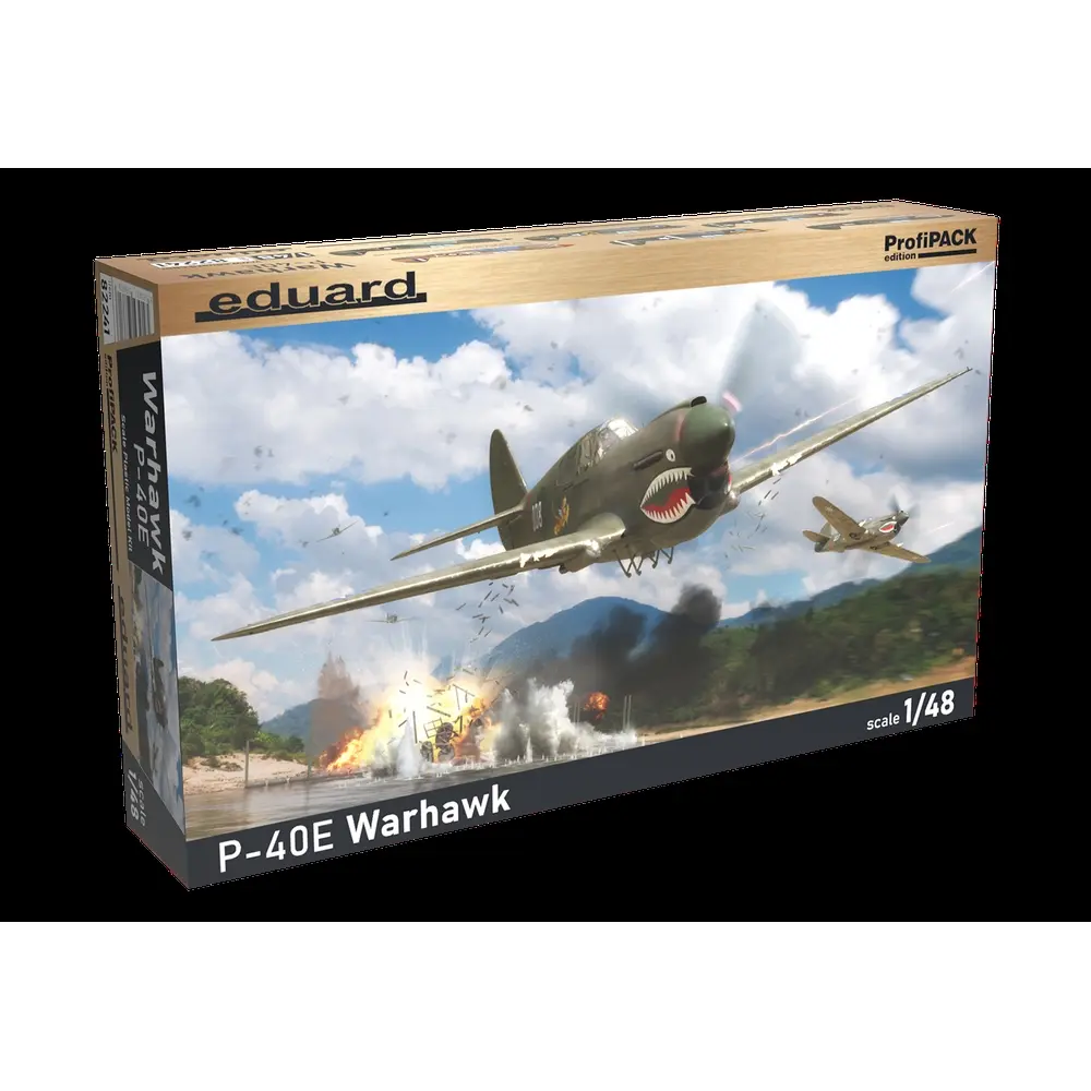Avion P-40E Warhawk ProfiPack Edition - Eduard Plastic Kits 82241 - 1/48 - 2