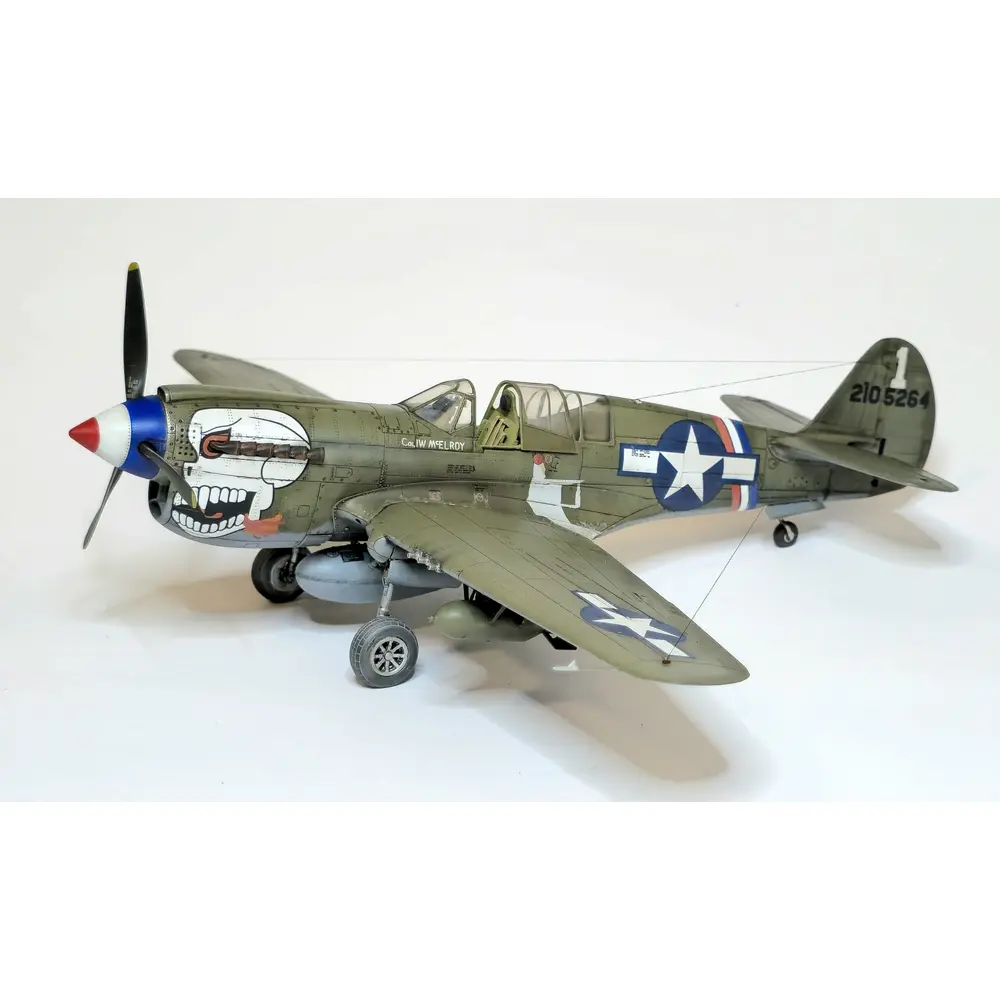 Avion P-40N Warhawk Royal Class Dual Combo - Eduard Plastic Kits 0025 - 1/48 - 3