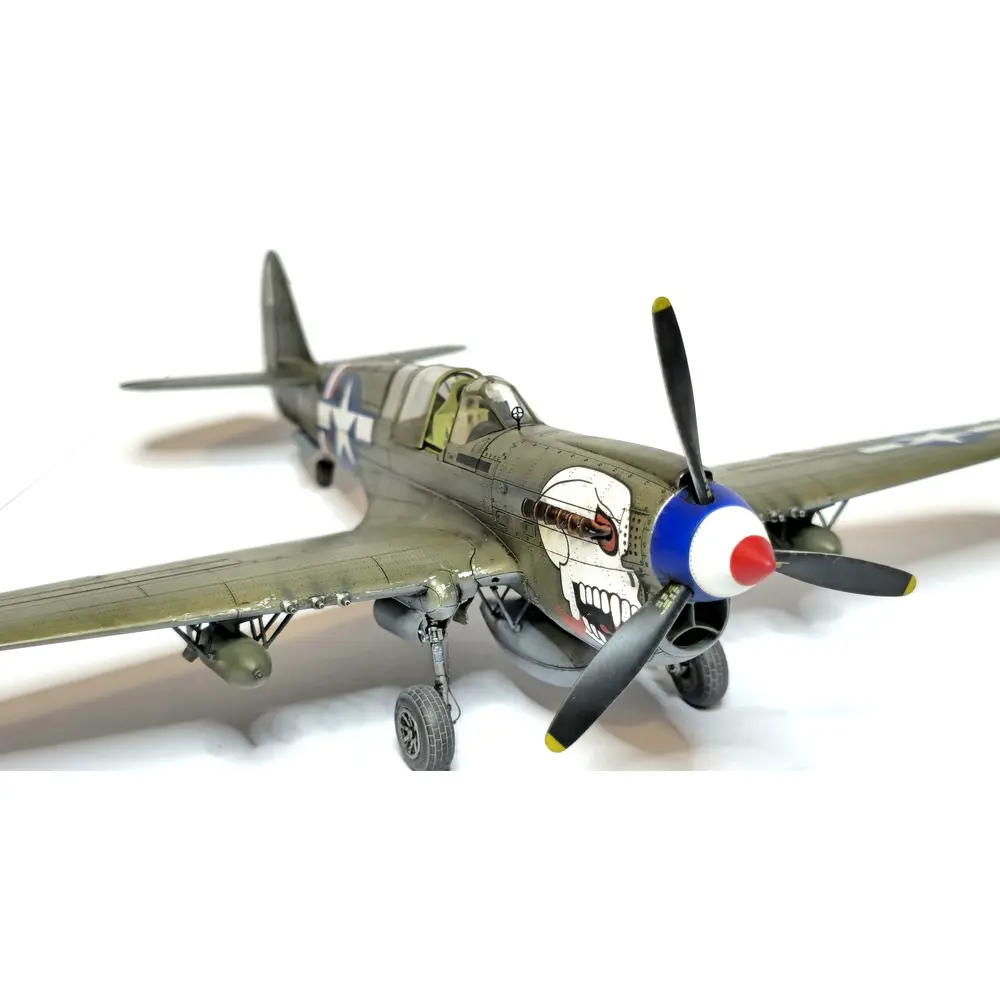 Avion P-40N Warhawk Royal Class Dual Combo - Eduard Plastic Kits 0025 - 1/48 - 15