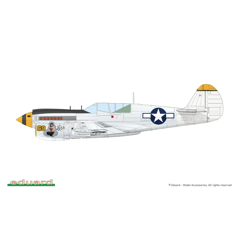 Avion P-40N Warhawk Royal Class Dual Combo - Eduard Plastic Kits 0025 - 1/48 - 21