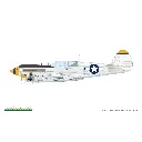 Avion P-40N Warhawk Royal Class Dual Combo - Eduard Plastic Kits 0025 - 1/48 - 21