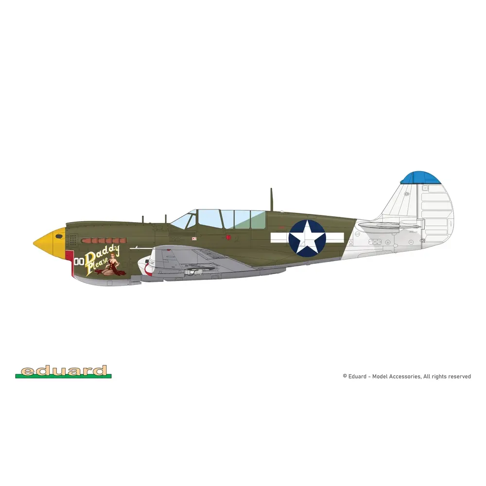 Avion P-40N Warhawk Royal Class Dual Combo - Eduard Plastic Kits 0025 - 1/48 - 19
