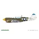 Avion P-40N Warhawk Royal Class Dual Combo - Eduard Plastic Kits 0025 - 1/48 - 19