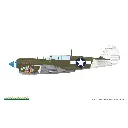 Avion P-40N Warhawk Royal Class Dual Combo - Eduard Plastic Kits 0025 - 1/48 - 25