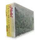 15 Arbres et buissons - Vert moyen - HEKI 1632 - Échelle HO / TT / N / Z - 3