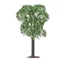 2 arbres fruitiers Faller 181802 - HO 1/87 - N 1/160 - TT 1/120 - 100 & 110 mm - 3