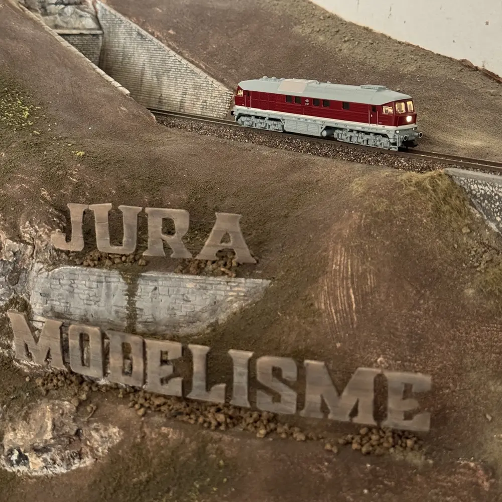 Locomotive diesel 132 483-9 - Arnold HN2599S - N 1/160 - DR - EP IV - DCC Son - 7