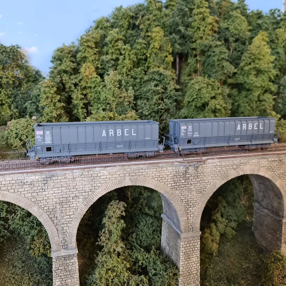 Set de 2 wagons tombereaux DMH Arbel - Ls Models 31115 - HO : 1/87 - SGW - EP IV V - 4