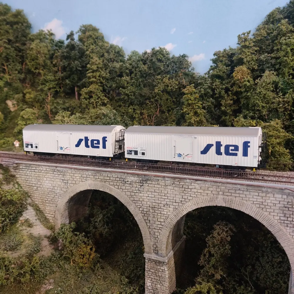 Set de 2 wagons réfrigérants STEF moderne - LS Models 30237 - HO 1/87 - SNCF - Ep IV/V - 2R - 4