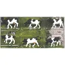 6 Vaches - Kato K24-220 - N 1/160 - 2