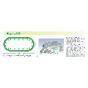 Jeu de variantes V13, viaduc à double voie - Kato K20-872 - N - 2R - 2