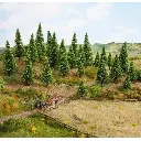 Pack de 50 sapins Noch 26826 - HO 1/87 TT 1/120 - Hauteur 50 à 140 mm - 2