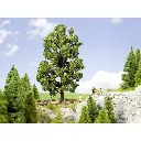 Châtaignier - Noch 21802 - HO 1/87 - O 1/43 - 2