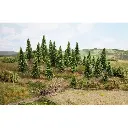 25 sapins - Noch 26825 - HO 1/87 / TT 1/120 - 4