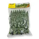 25 sapins - Noch 26825 - HO 1/87 / TT 1/120 - 2