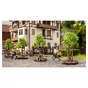 Lot de 6 jeunes arbres avec leur tuteur - NOCH 21538 - HO 1/87 - 2