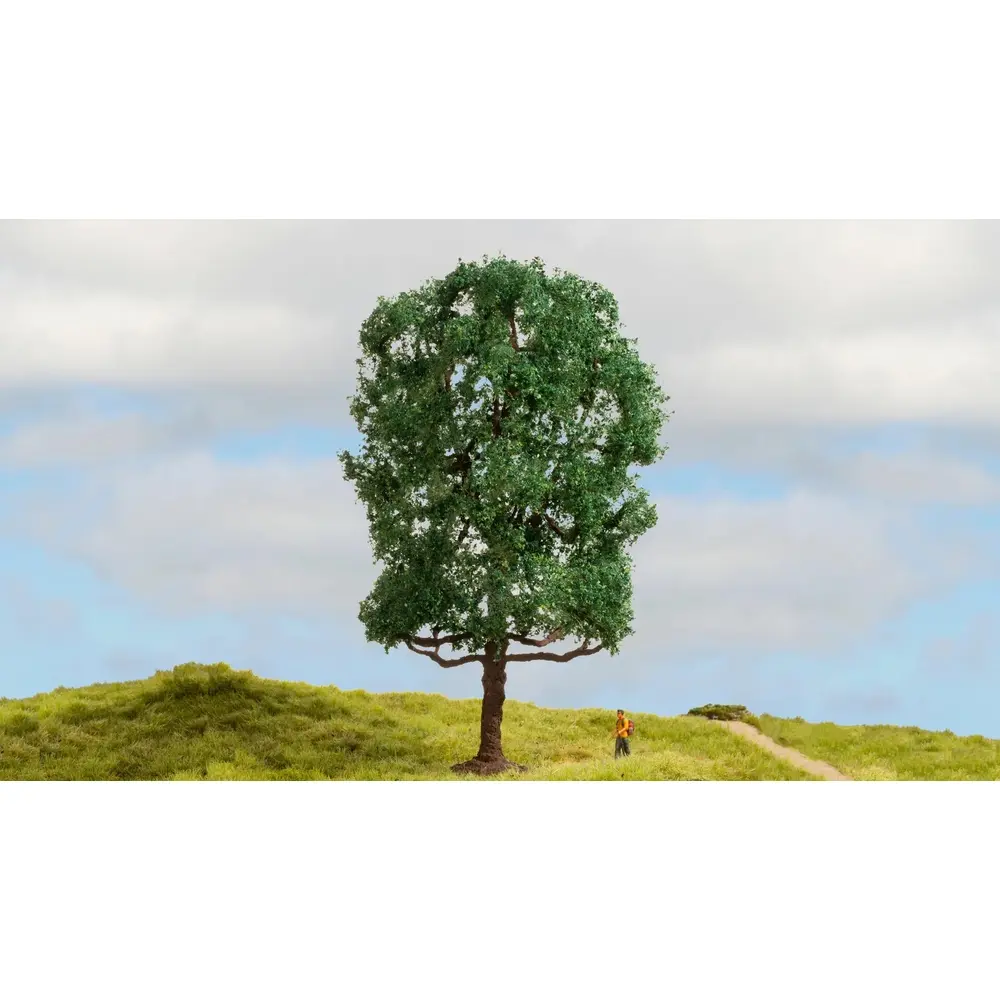 Châtaigner - Noch 20105 - Toutes Echelles  - 2