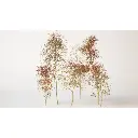 Arbres naturels avec bombe - Noch 23100 - 2