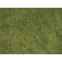 lot de 2 Tapis "prairie Bruyère" Natur+ NOCH 07473 - HO 1/87 - 250 x 250 mm - 6