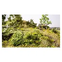 Buissons sauvages PROFI vert foncé - NOCH 07311 - Multi-échelle - 3