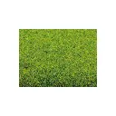 Tapis de gazon, style printanier, NOCH 00010, HO 1/87e - 3