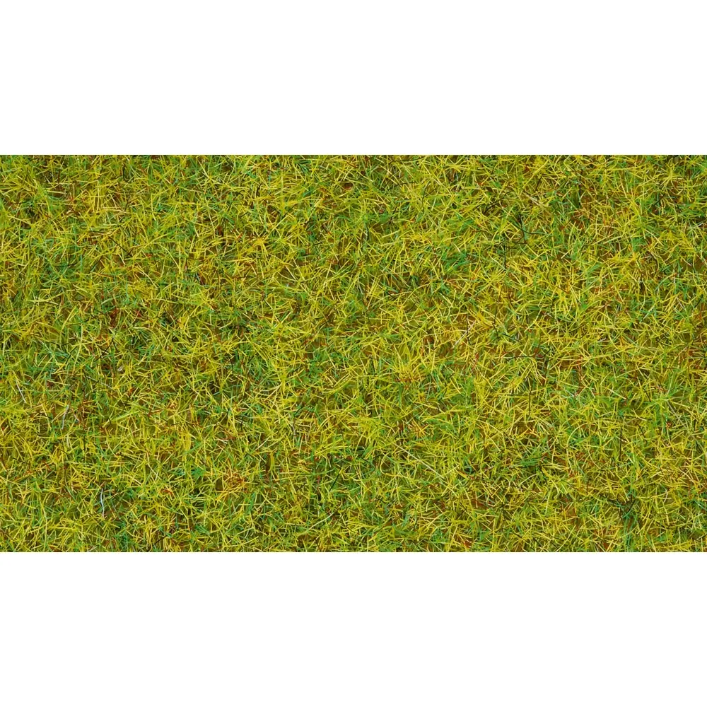 Herbe dispersée « Prairie d'été » - Noch 50190 - 100 g  - 2