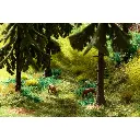 Set de départ végétation "En forêt" - Noch 60772 - Toutes échelles - 97 g - 5