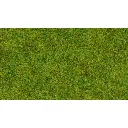 Herbe dispersée « Prairie printanière » - Noch 50210 - 100 g - 2