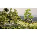 Fontaine "Lieu oublié" - Noch 60760 - HO 1/87 - 2