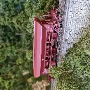 Wagon trémie F70 UAS REE Modèles WB804 - HO 1/87 - SNCF - EP VI - 5