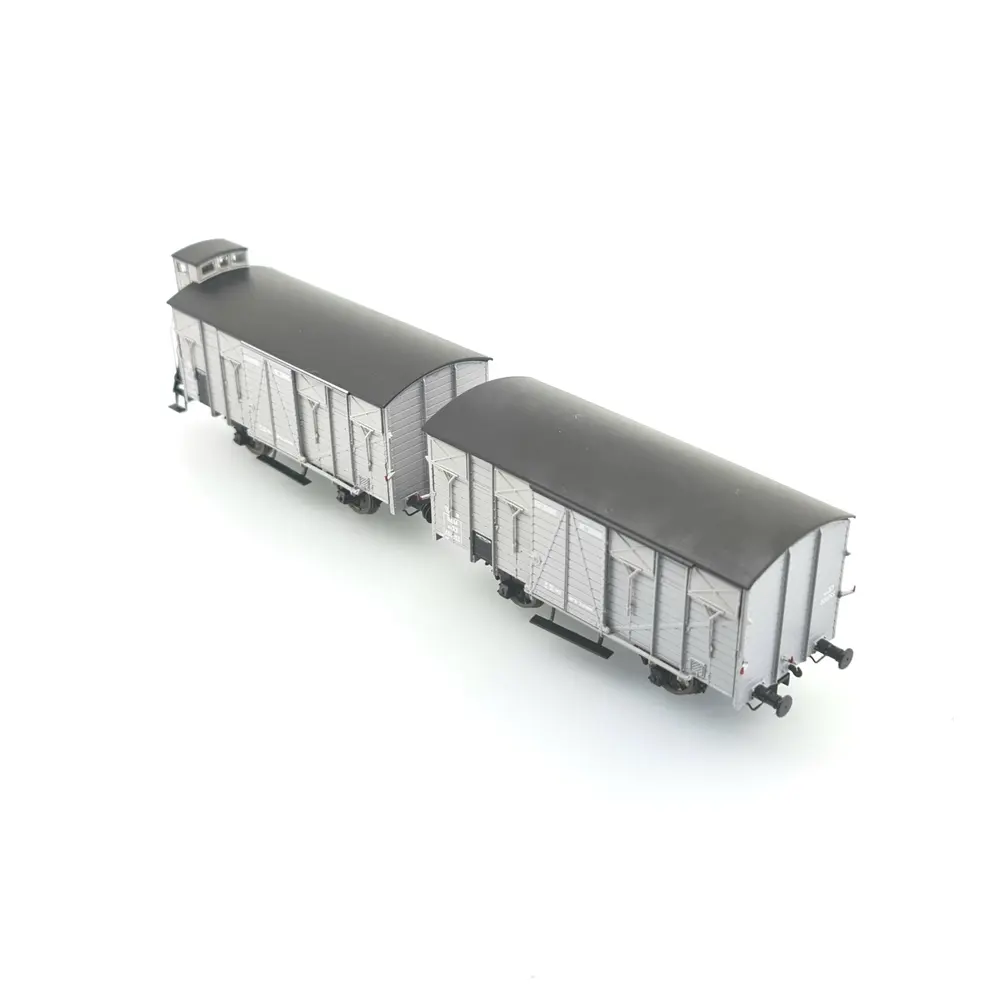 Set 2 wagons Couvert OCEM 19 - REE Modèles WB683 - HO 1/87 - SNCF - EP II - 3