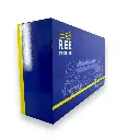 Locomotive Diesel BB 67381 Analogique - REE Modèles MB151- HO 1/87 - SNCF - EP IV - 4