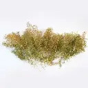 Boîte d'arbres de taille variée Seafoam - WWSCENICS WSTR-024  - 3