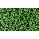 Kit de création d'arbre vert moyen - 21 armatures - WOODLAND TR1111 - HO 1/87 - 2