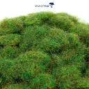Fibres herbe d'été - WWScenics WSG4-017 - 4 mm - 500 mL - 2