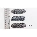 Ballaste fin couleur gris - Woodland Scenics B75 - 353 mL - 2