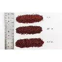 Ballaste moyen couleur minerai de fer - Woodland Scenics B70 - 353 mL - 2