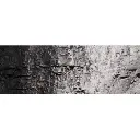 Peinture à décor noir - Woodland Scenics C1220 - Toutes échelles - 118 mL - 2