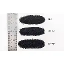 Ballast moyen couleur cendres noirs - WOODLAND SCENICS B83 - 383 cm³ - 2