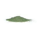 Flocage herbe vert moyen - Woodland Scenics FL635 - 945 mL - 3