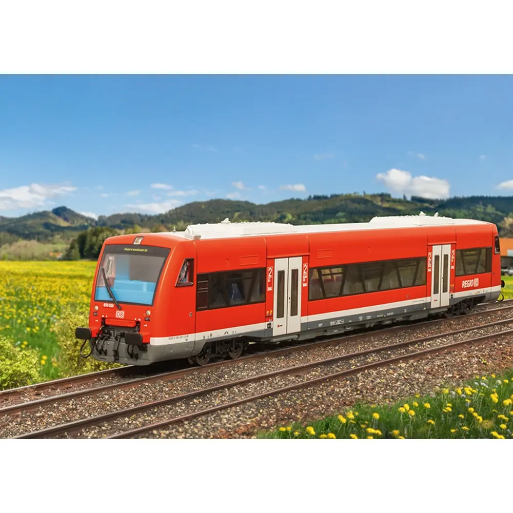 Automotrice diesel Regio Shuttle RS1 Série 650 - TRIX T25965 - DB AG - HO 1/87 - EP. VI - Digital sound - 2R - 2