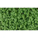 Kit de création d'arbre vert moyen - 6 armatures - WOODLAND TR1112 - HO 1/87 - 2