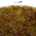 Herbe statique "hiver" 6 mm - WWSCENICS WSG6-036 - 1000 ml - 2