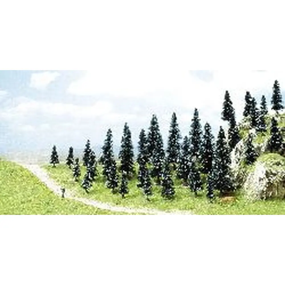 35 sapins avec racines, 5-11 cm