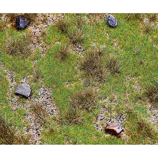 [FA180476] Segment de paysage PREMIUM, Prairie avec bloc erratique