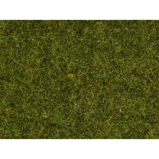 [NO08212] Fibres herbes de pré - Noch 08212 - Toutes échelles - 1,5 mm - 20 g